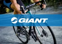 Giant Bicycles: The Evolution of a Cycling Titan